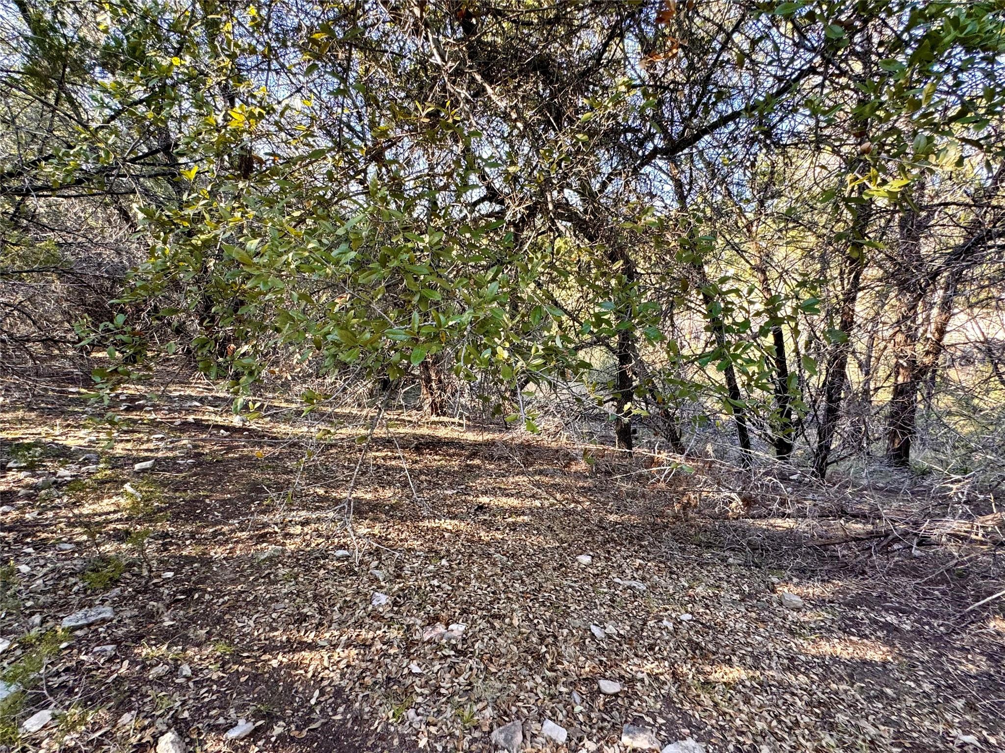 19902 Continental Dr Property Photo 6