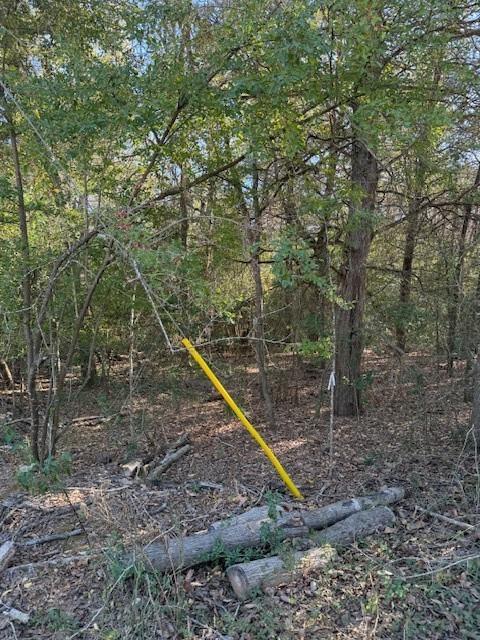 125 Helemano Dr Property Photo 4