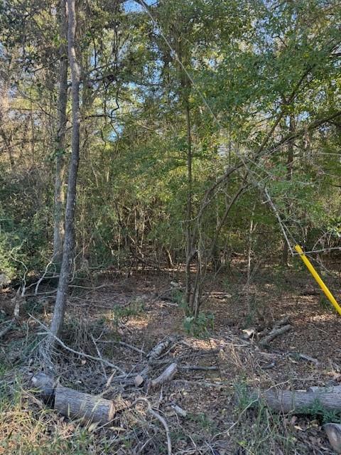125 Helemano Dr Property Photo 5