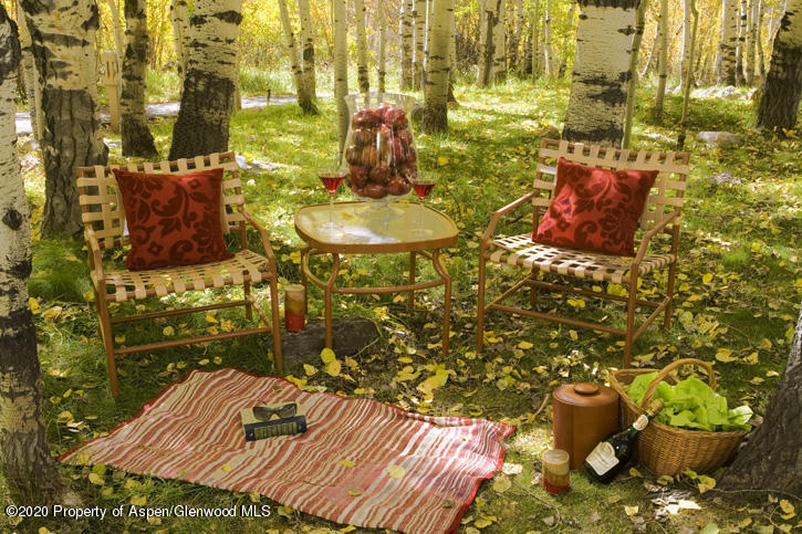 1441 Crystal Lake Road 2 Property Photo 18