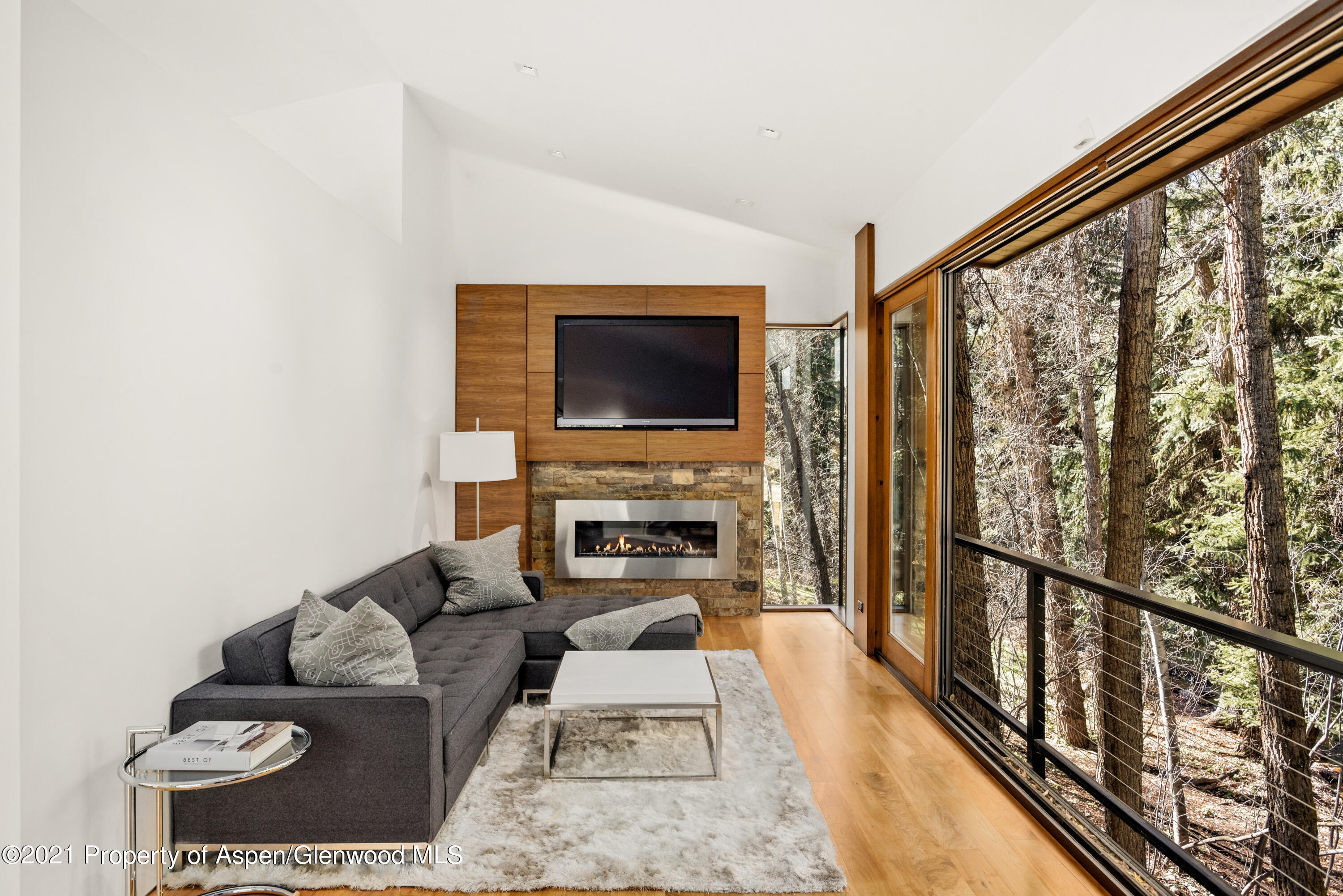 575 Sneaky Lane Property Photo 45