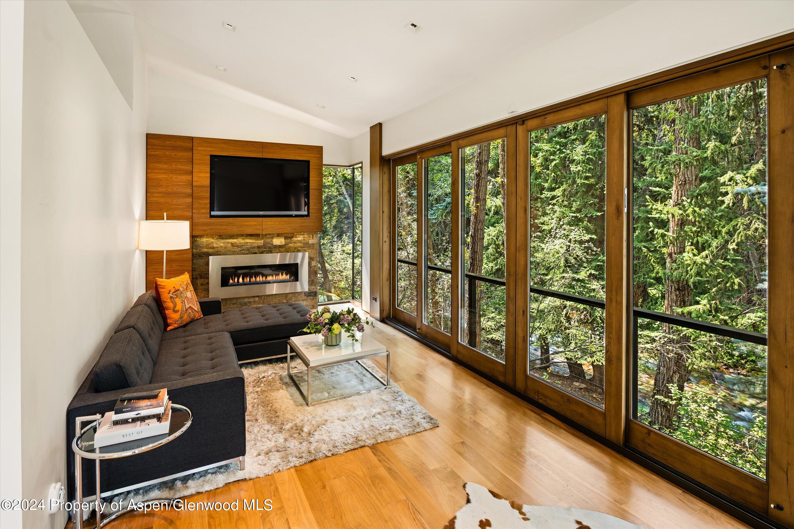575 Sneaky Lane Property Photo 46