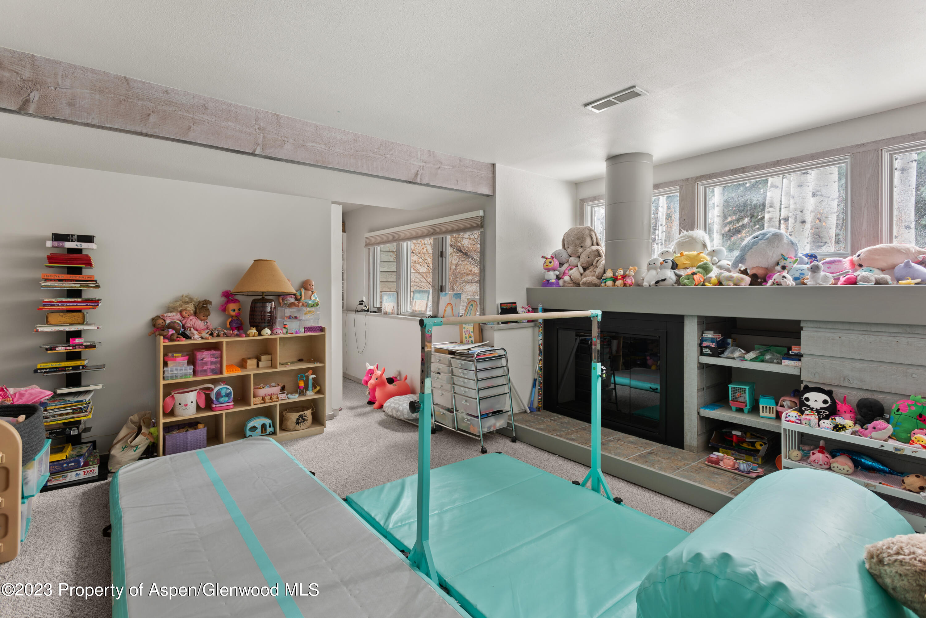 645 Sneaky Lane Property Photo 15