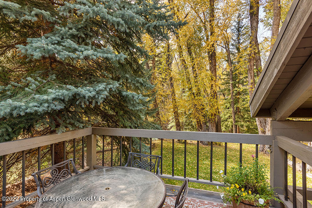 645 Sneaky Lane Property Photo 23