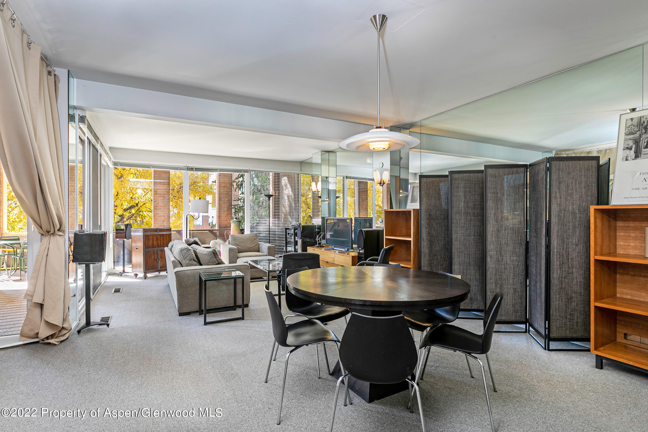610 E Hyman Avenue Penthouse Property Photo 2