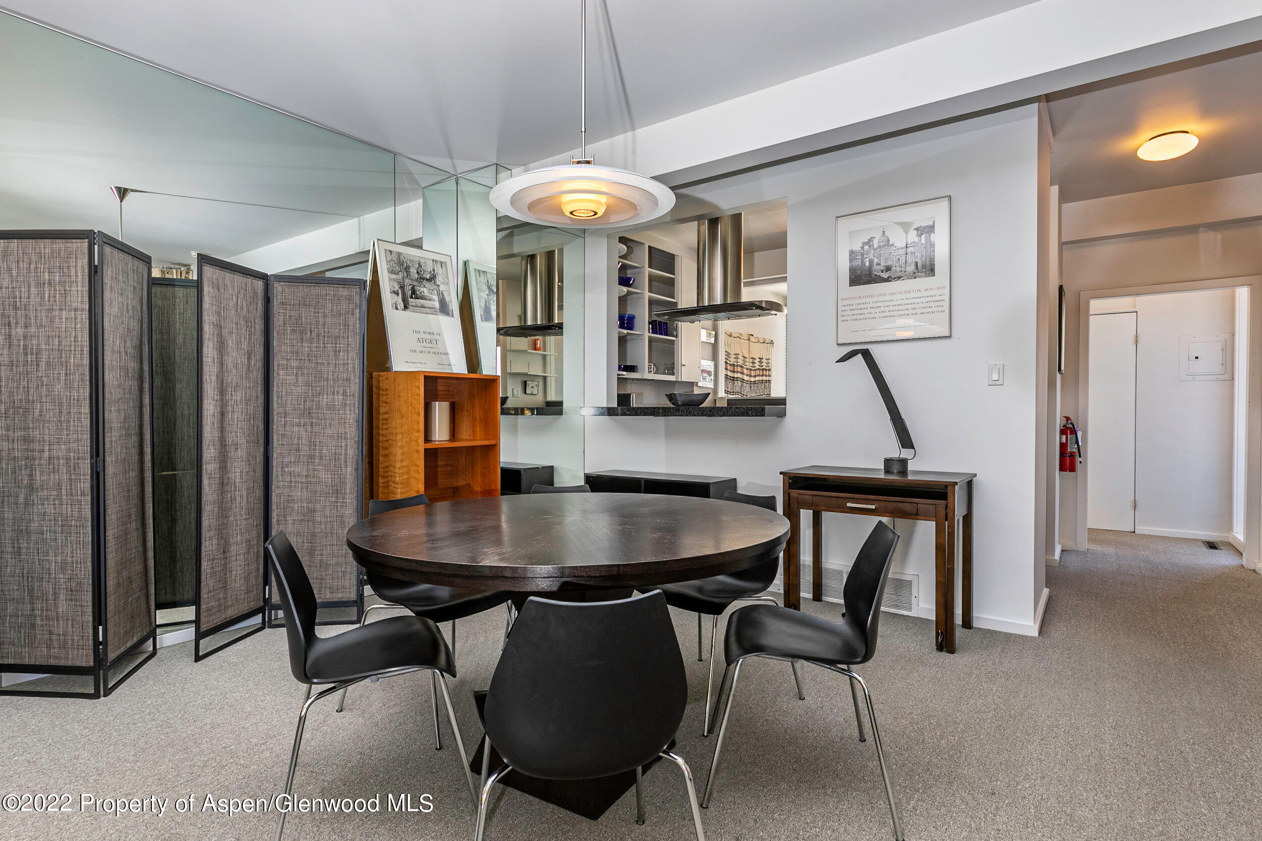 610 E Hyman Avenue Penthouse Property Photo 3