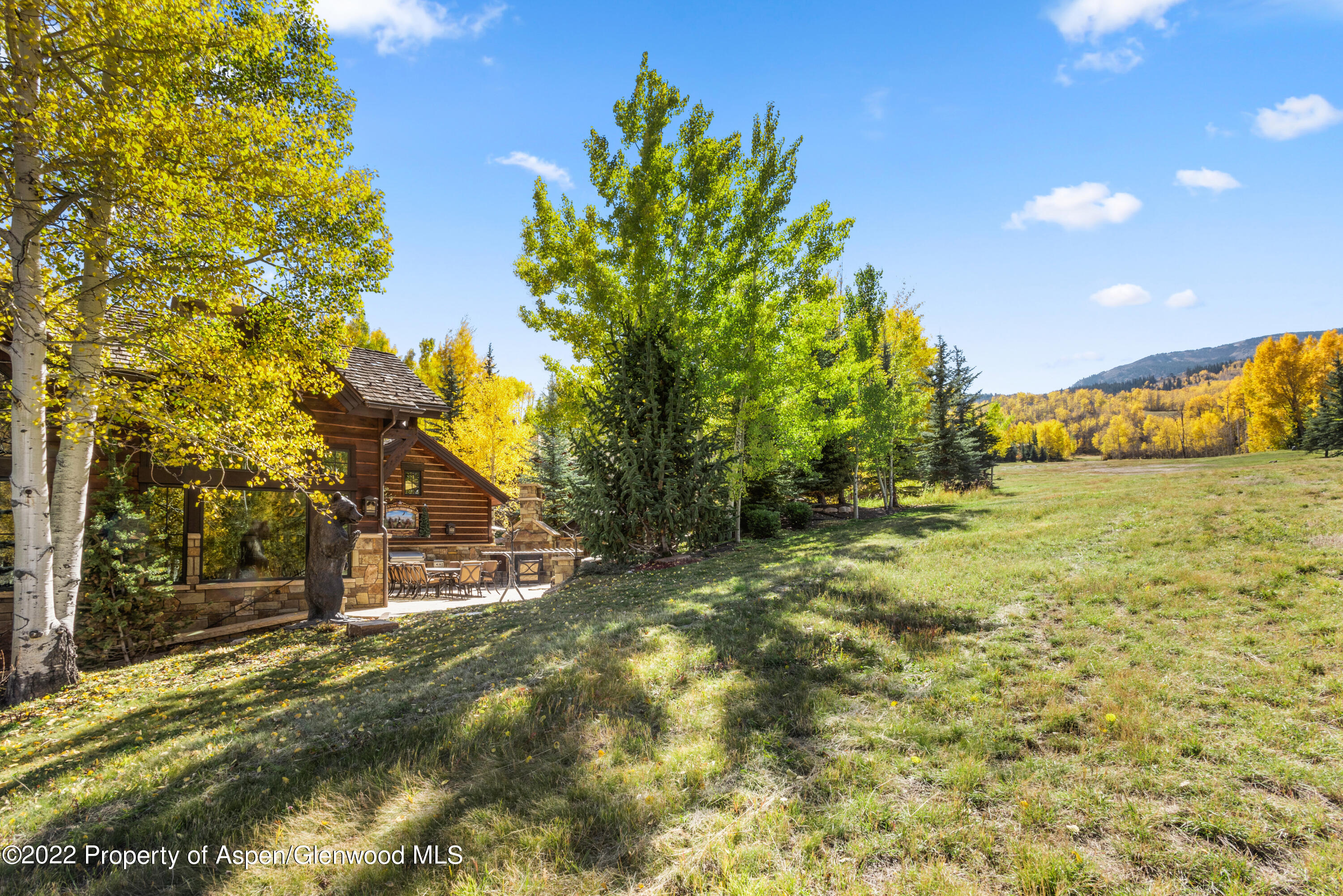 845 Serviceberry Lane Property Photo 42