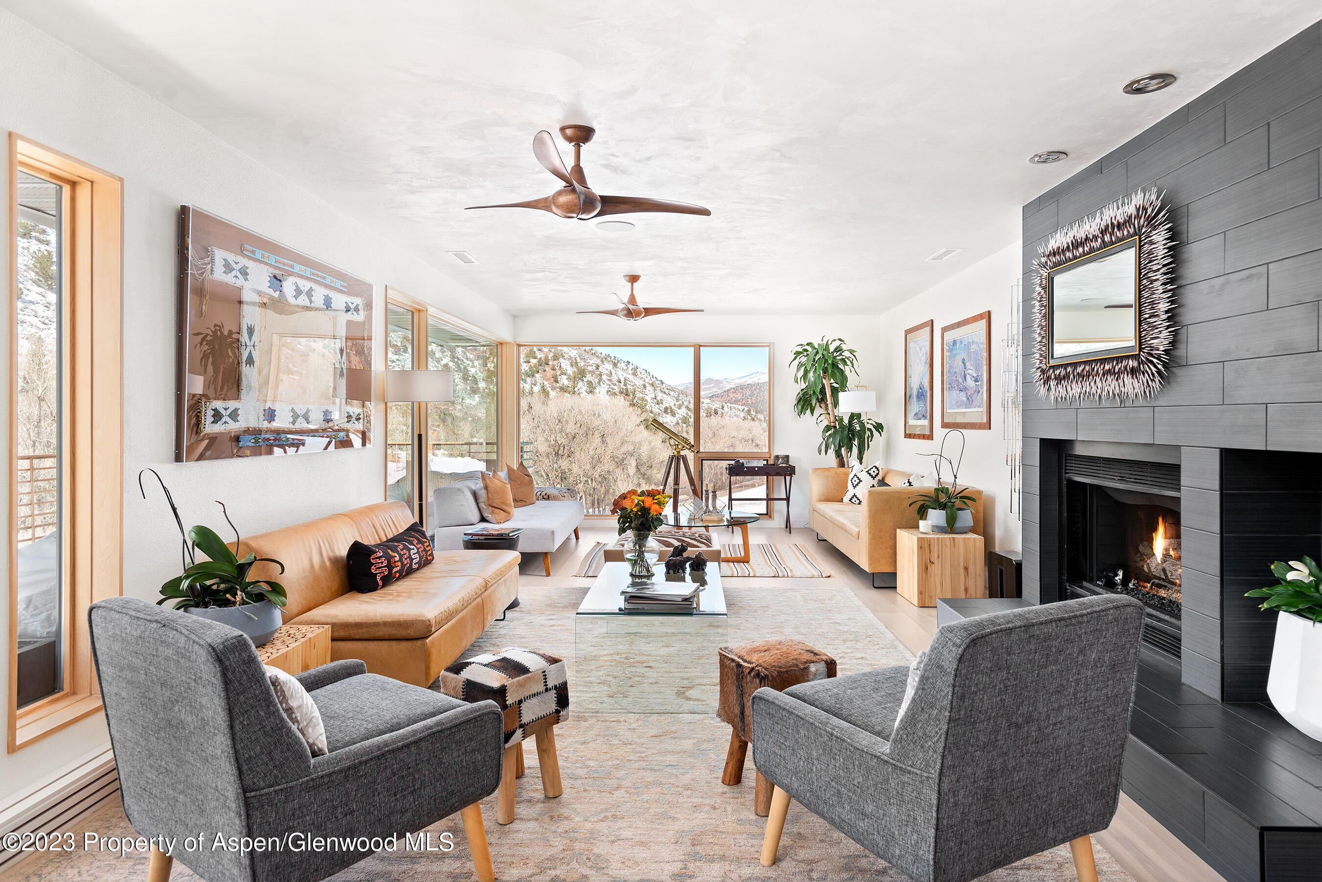 876 Snowmass Creek Road Property Photo 5