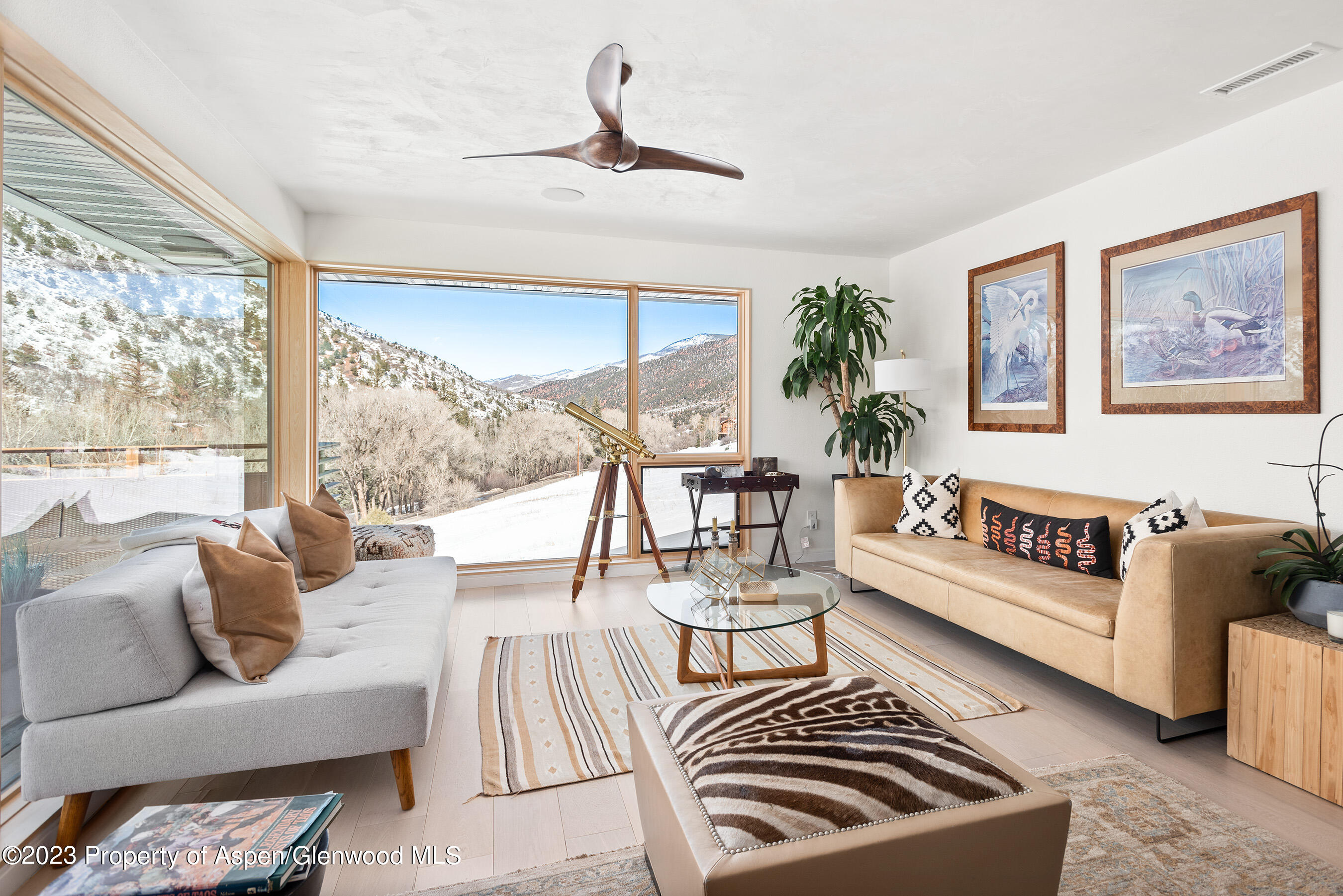 876 Snowmass Creek Road Property Photo 6