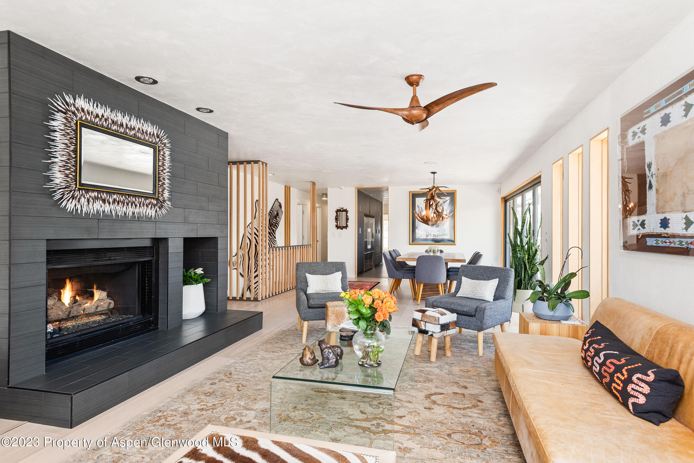 876 Snowmass Creek Road Property Photo 7