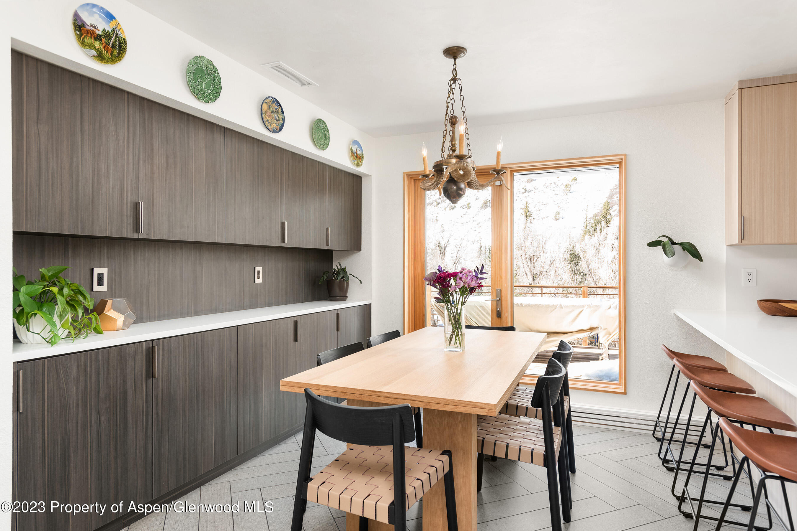876 Snowmass Creek Road Property Photo 11