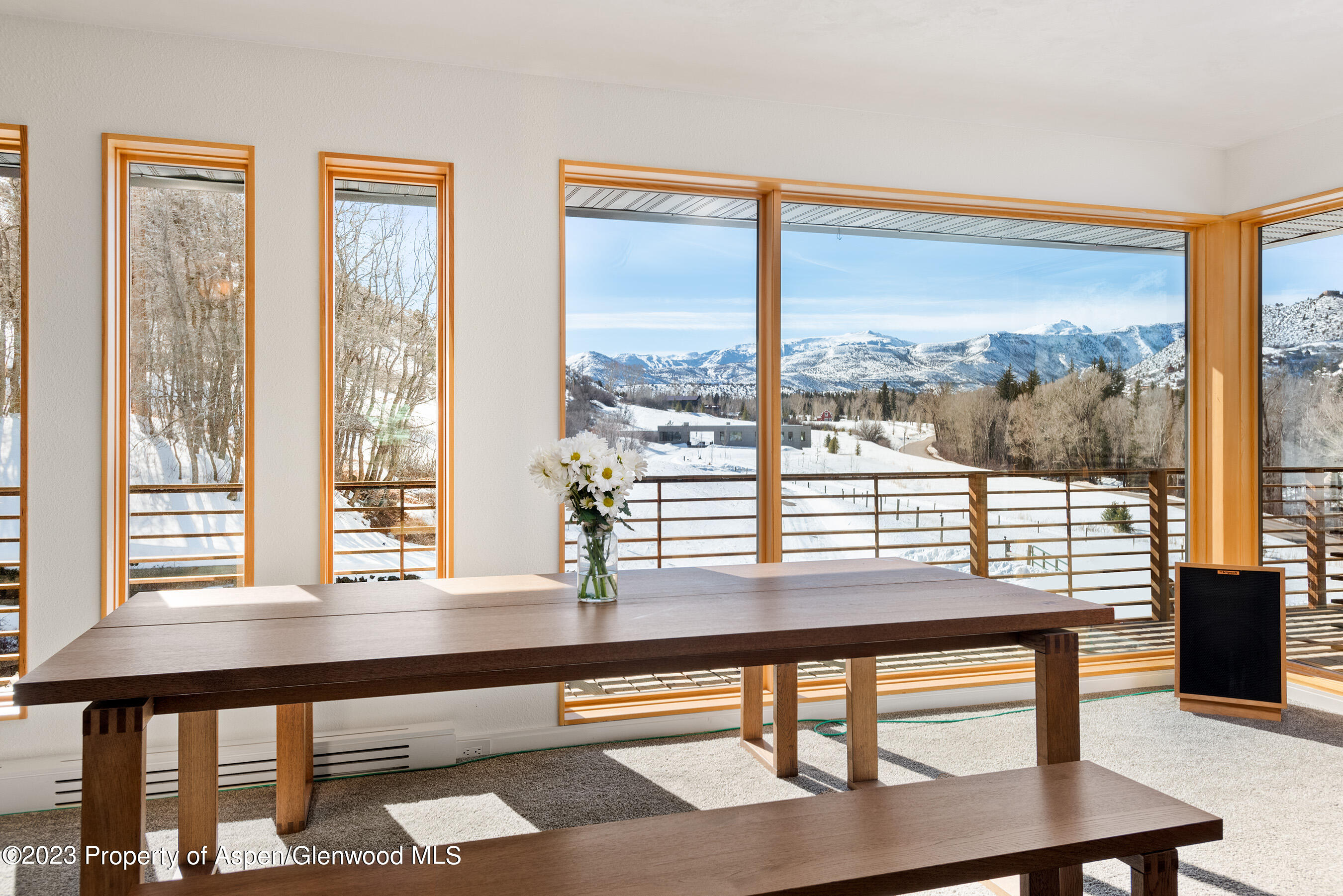 876 Snowmass Creek Road Property Photo 14