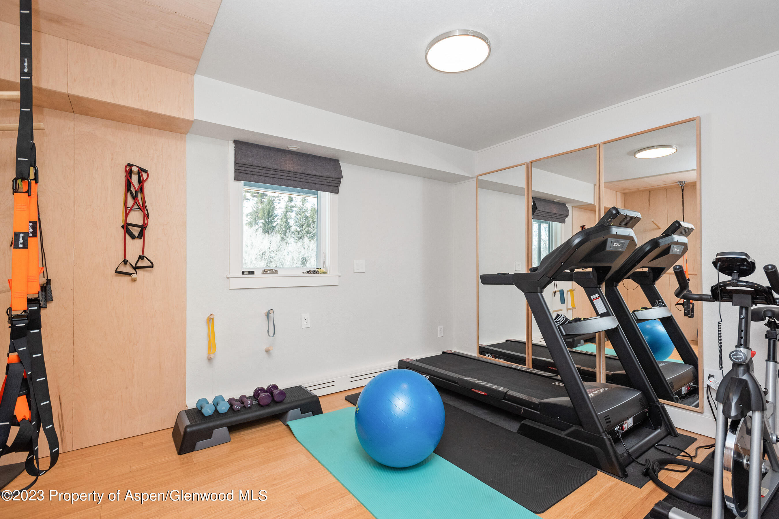 876 Snowmass Creek Road Property Photo 35