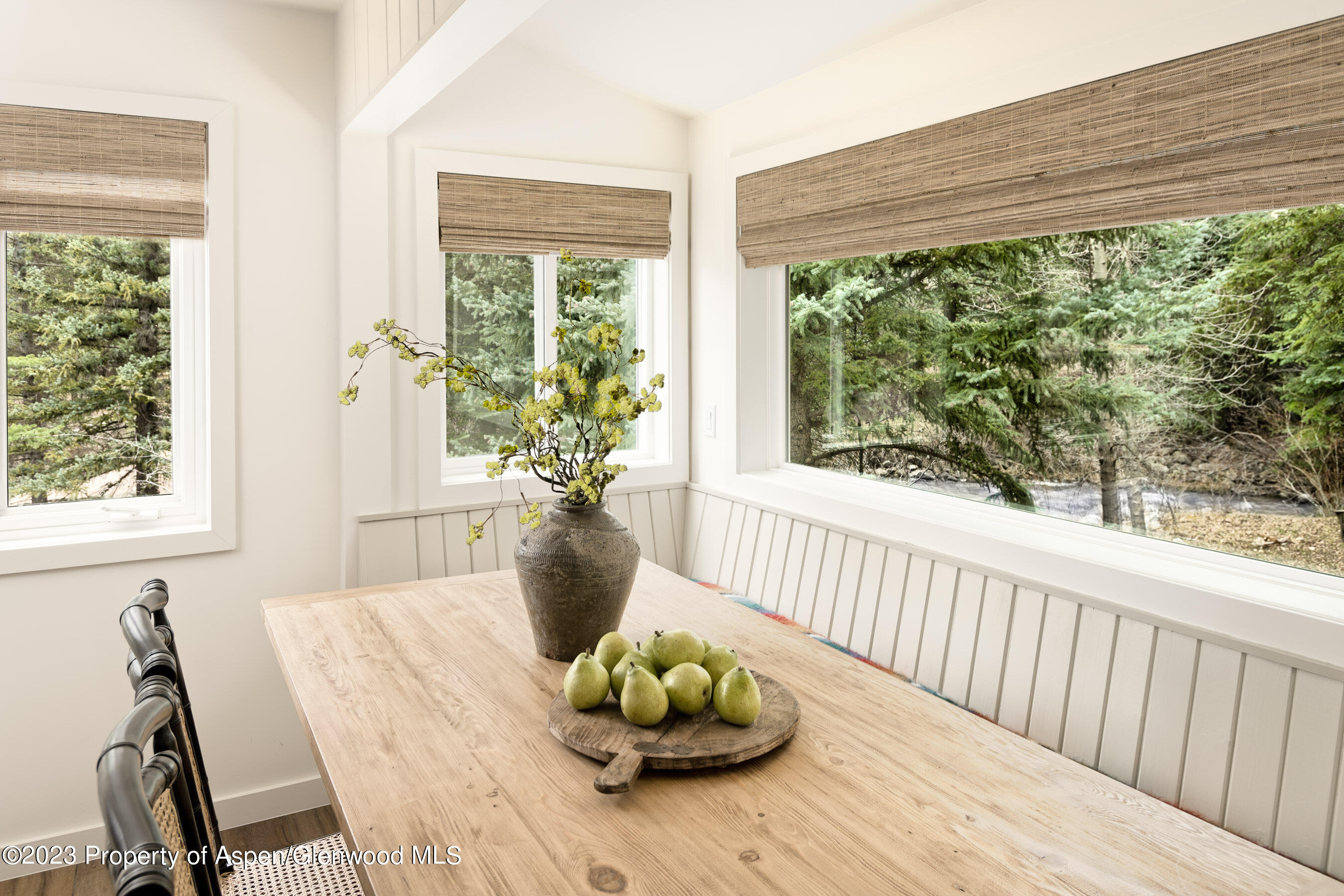 1470 Snowmass Creek Road Property Photo 19