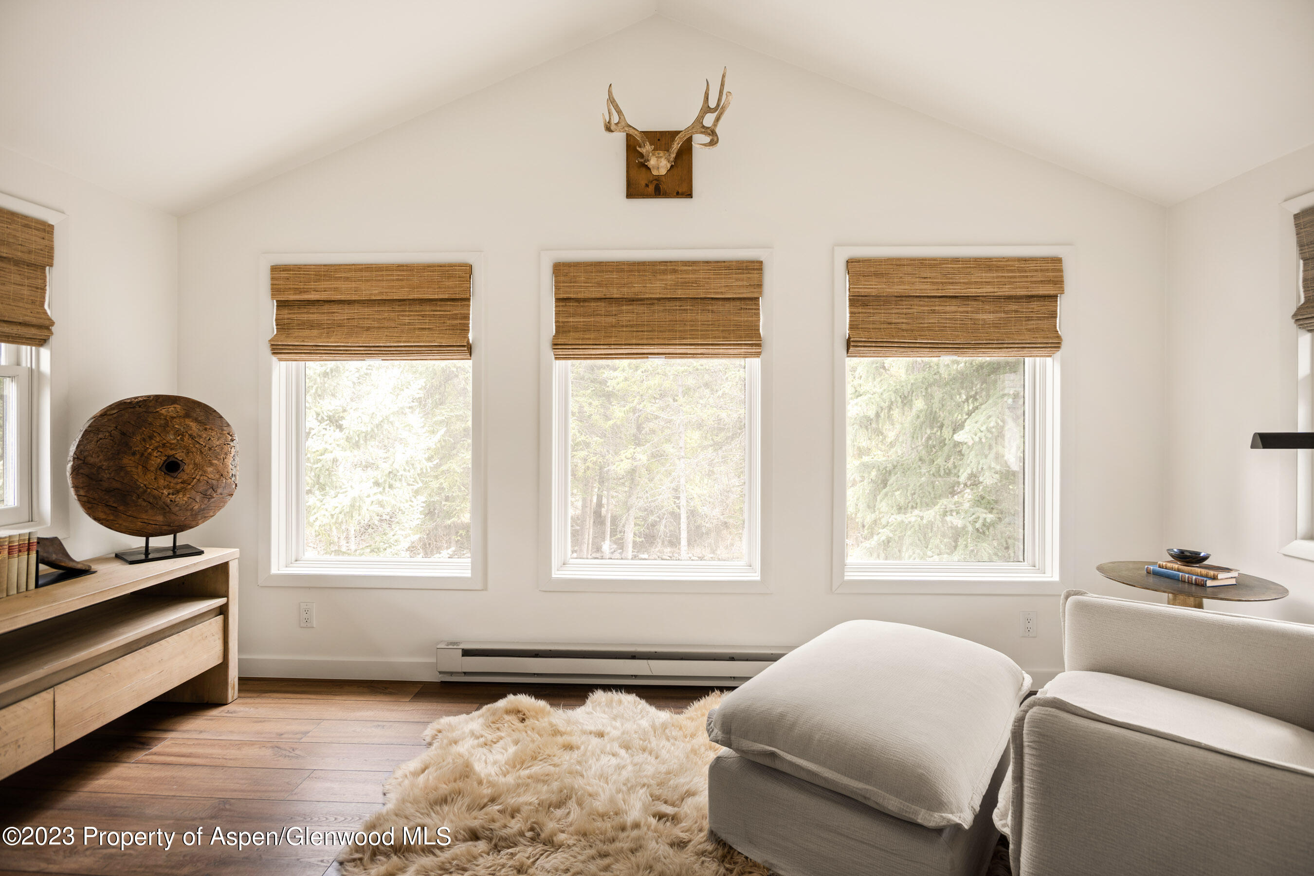 1470 Snowmass Creek Road Property Photo 45