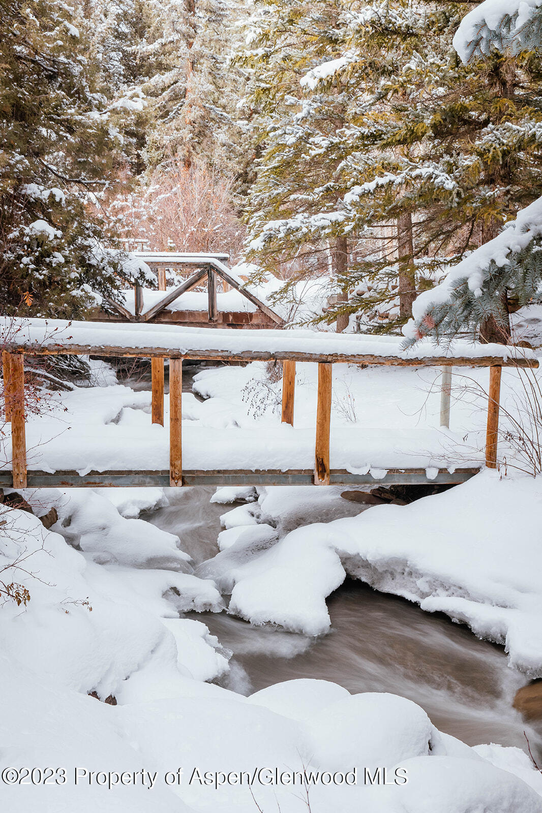 1470 Snowmass Creek Road Property Photo 62