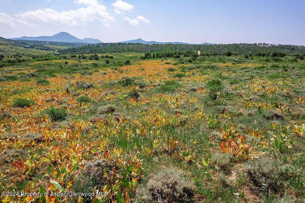 2004 Boulder Drive Lot 396 Property Photo 6