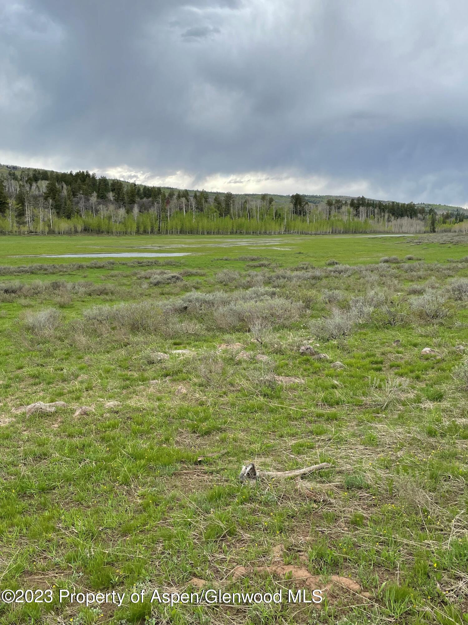 Tbd Black Diamond Mine Road Property Photo 6