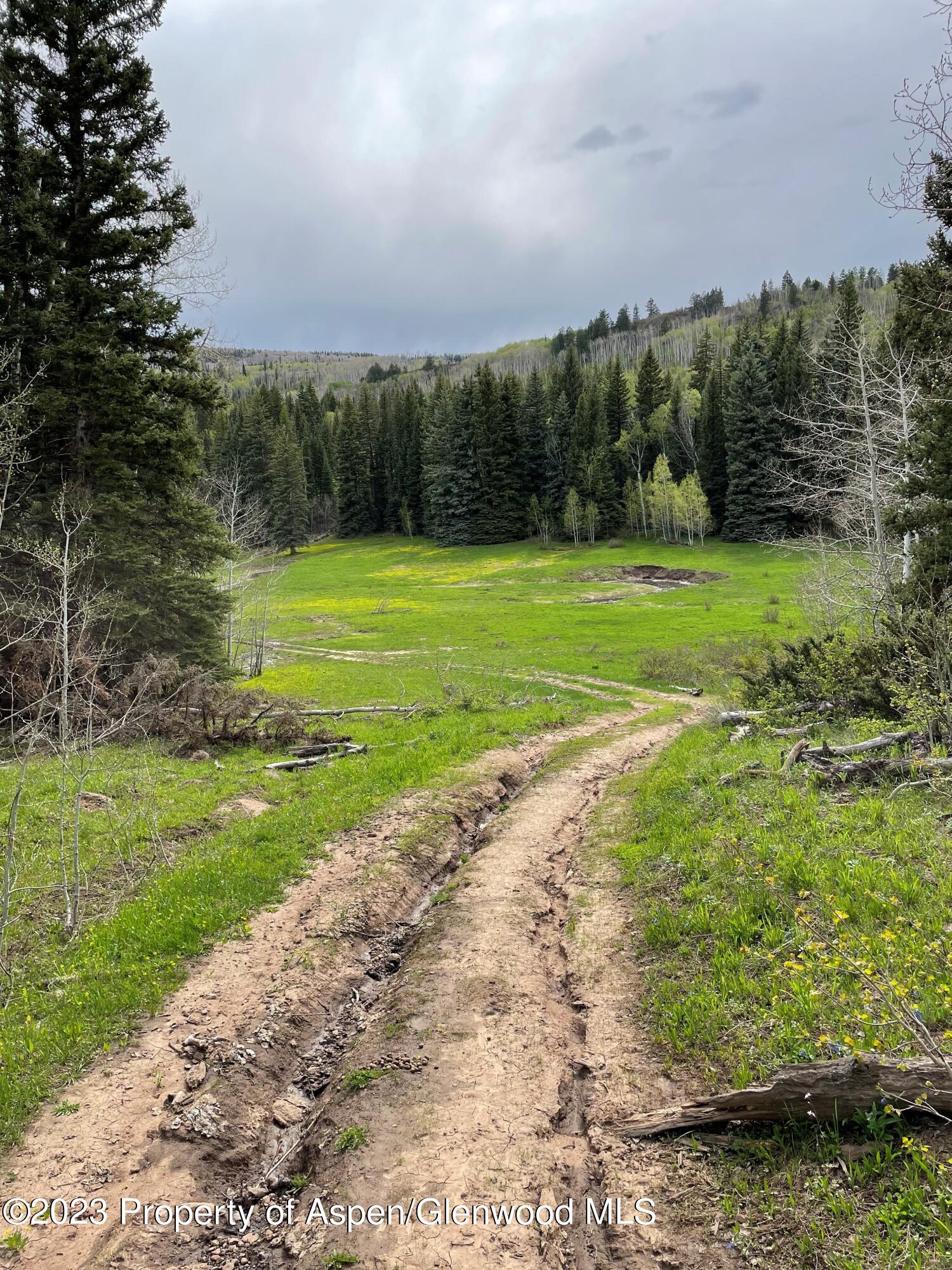 Tbd Black Diamond Mine Road Property Photo 9