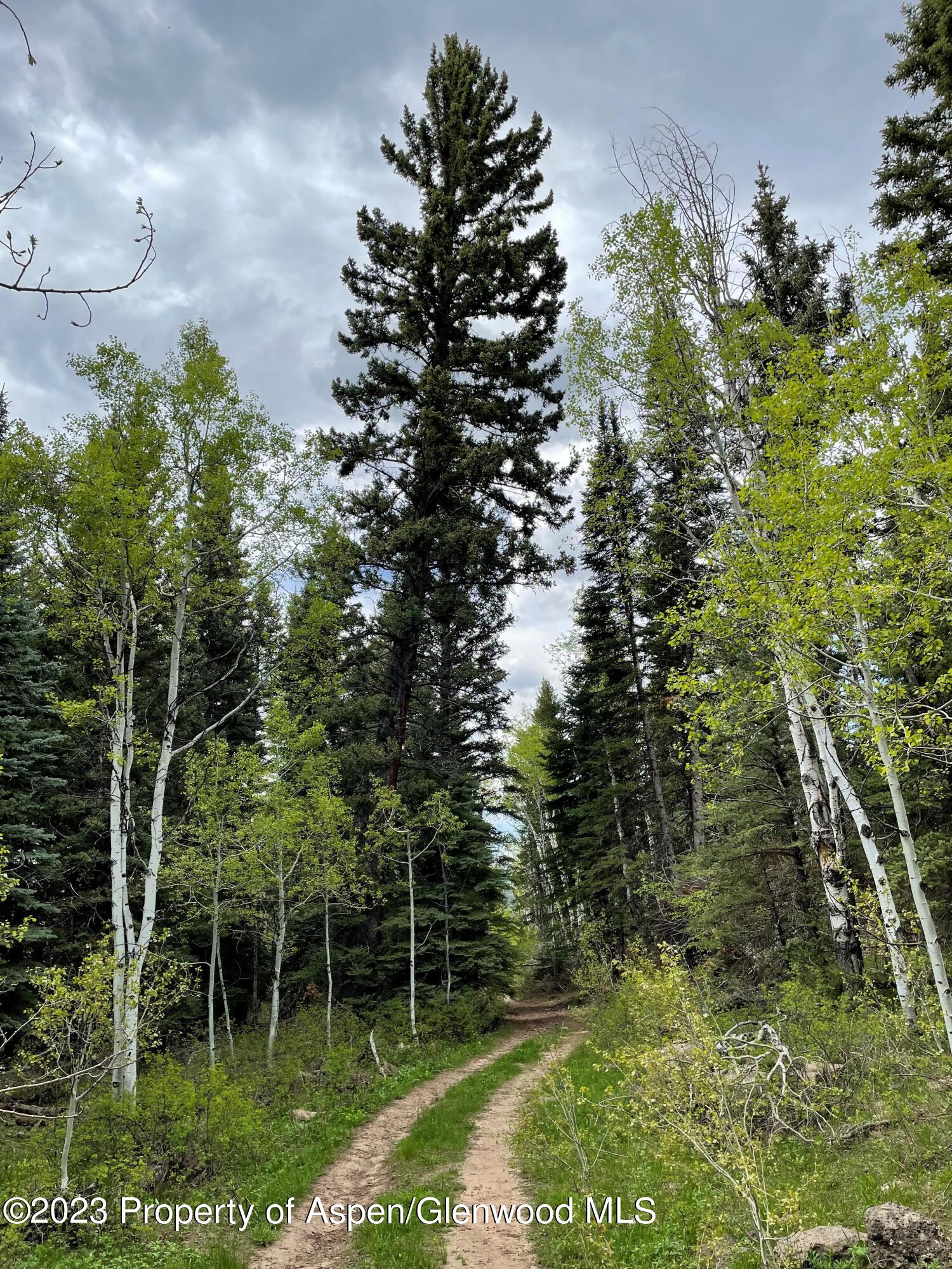Tbd Black Diamond Mine Road Property Photo 10