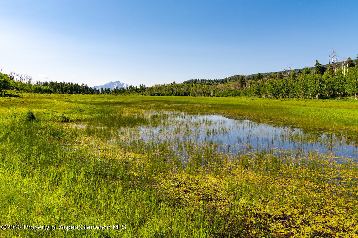 Tbd Black Diamond Mine Road Property Photo 37