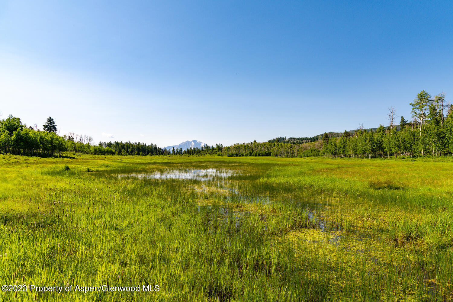 Tbd Black Diamond Mine Road Property Photo 39