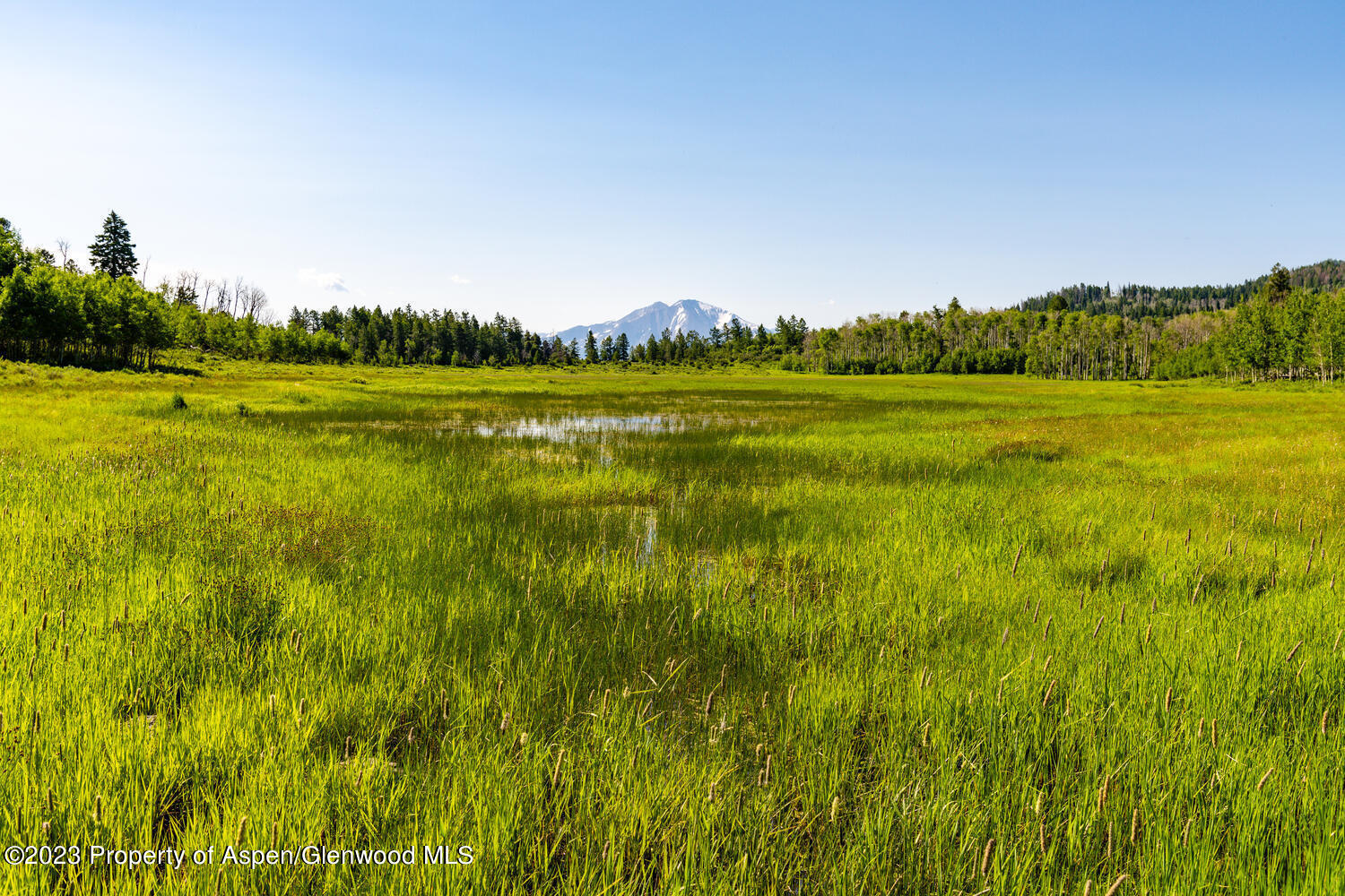 Tbd Black Diamond Mine Road Property Photo 40