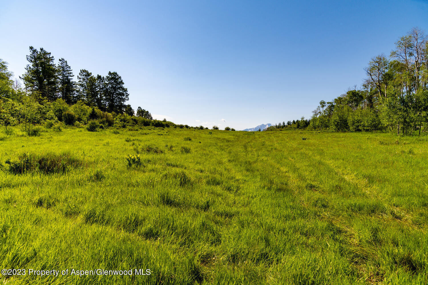 Tbd Black Diamond Mine Road Property Photo 49