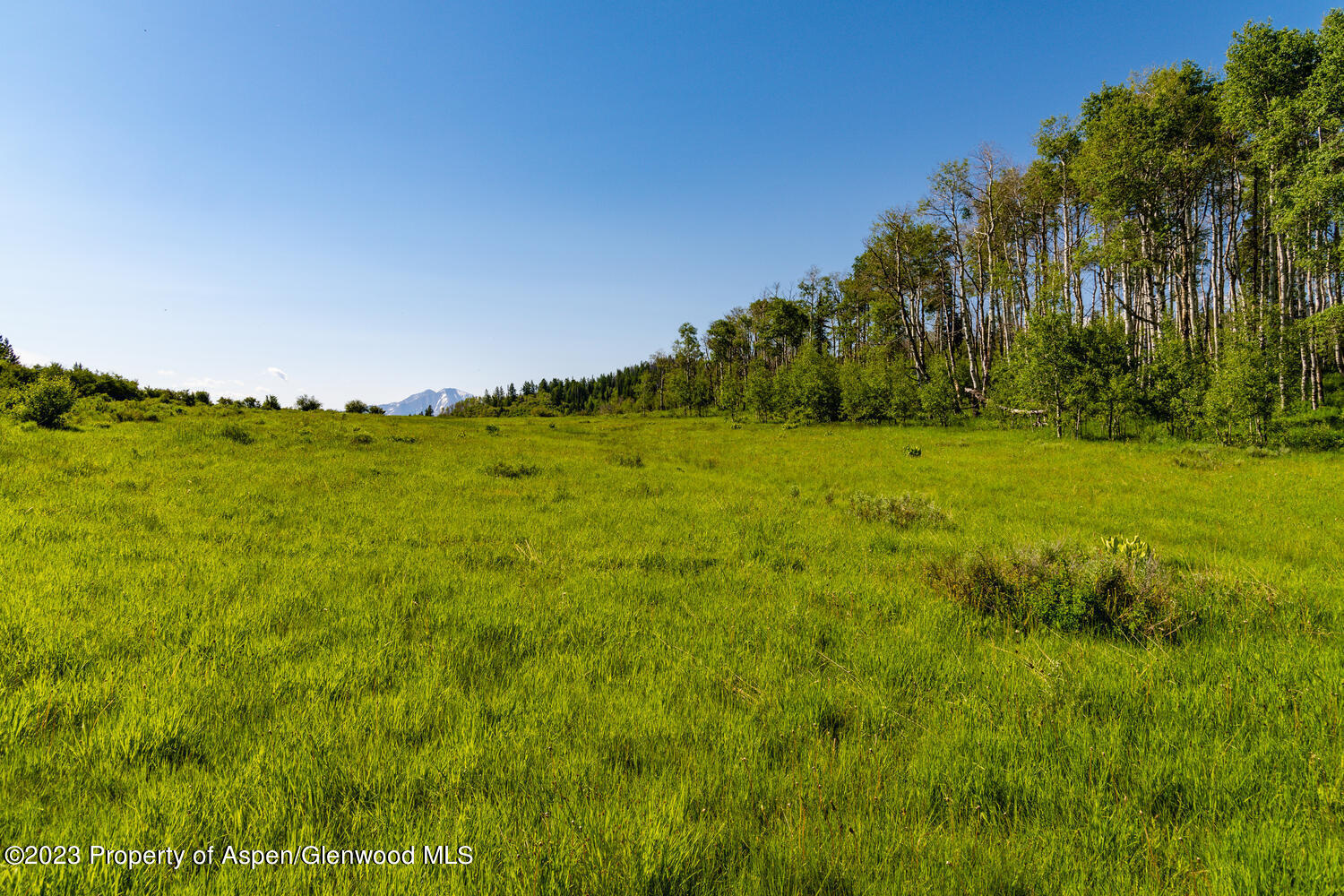 Tbd Black Diamond Mine Road Property Photo 50