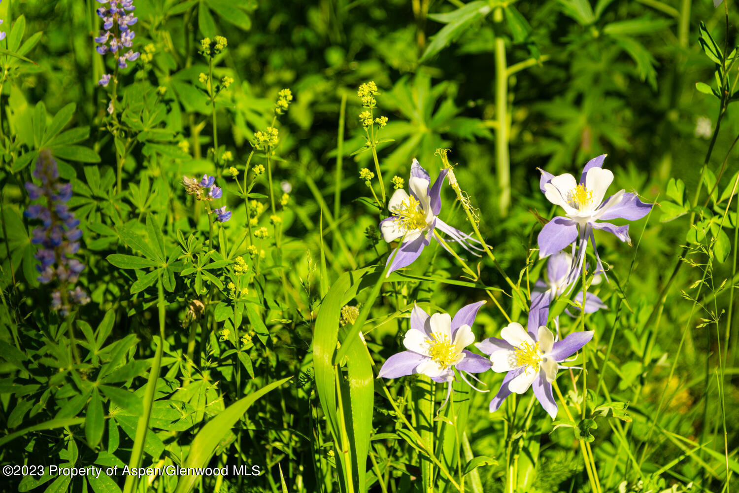 Tbd Black Diamond Mine Road Property Photo 62