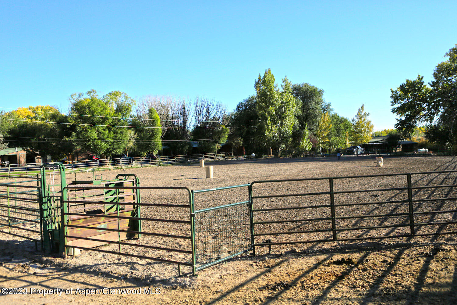 10341 Tongue Creek Road Property Photo 12