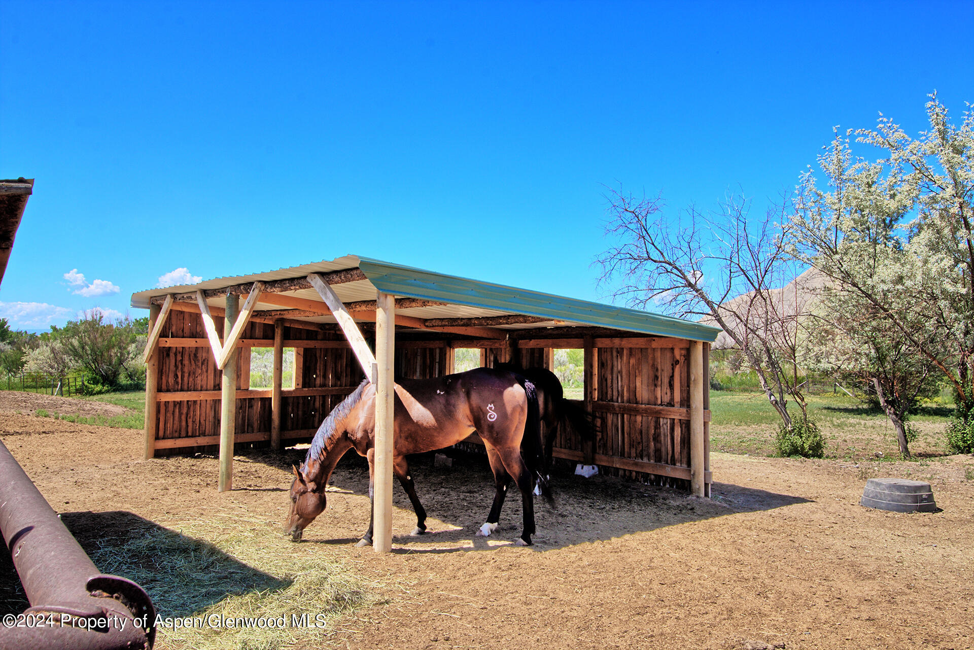 10341 Tongue Creek Road Property Photo 22