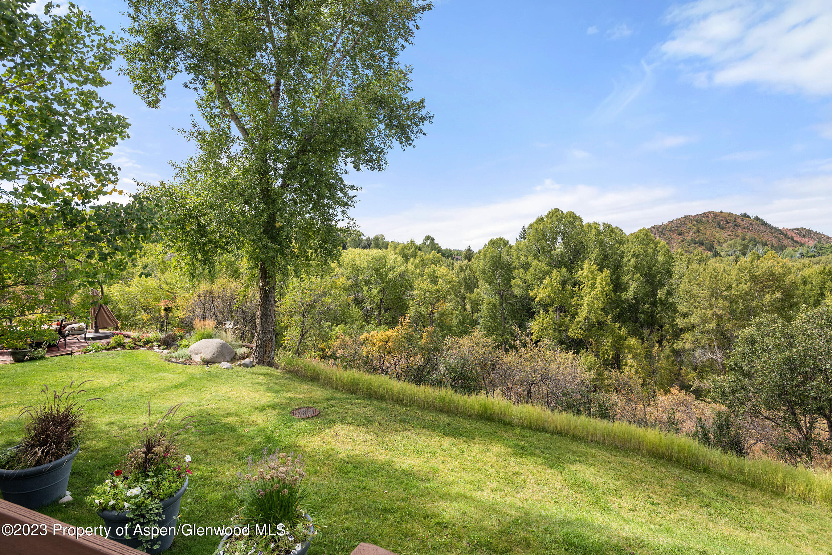 81 Meadows Trustee Road Property Photo 13