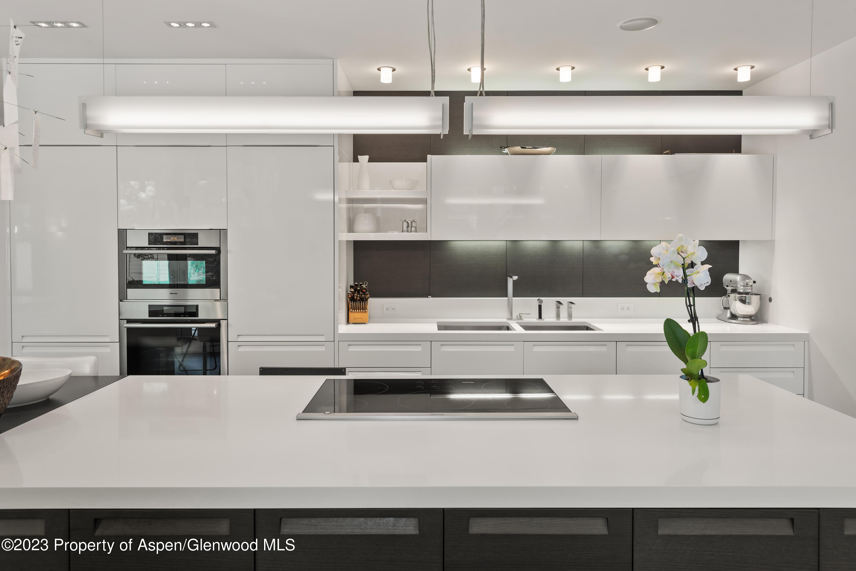 517 W North Street Property Photo 17