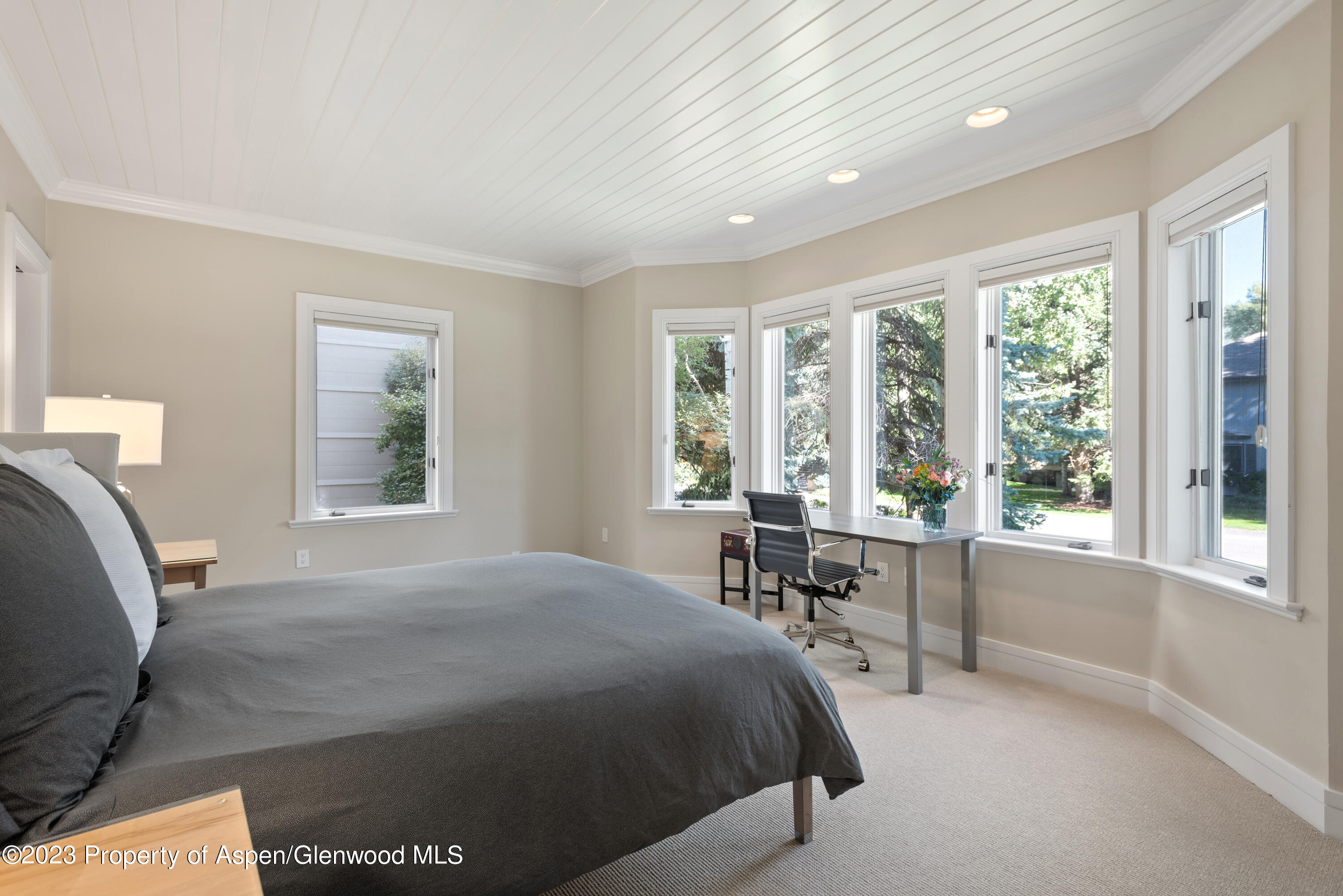 517 W North Street Property Photo 27