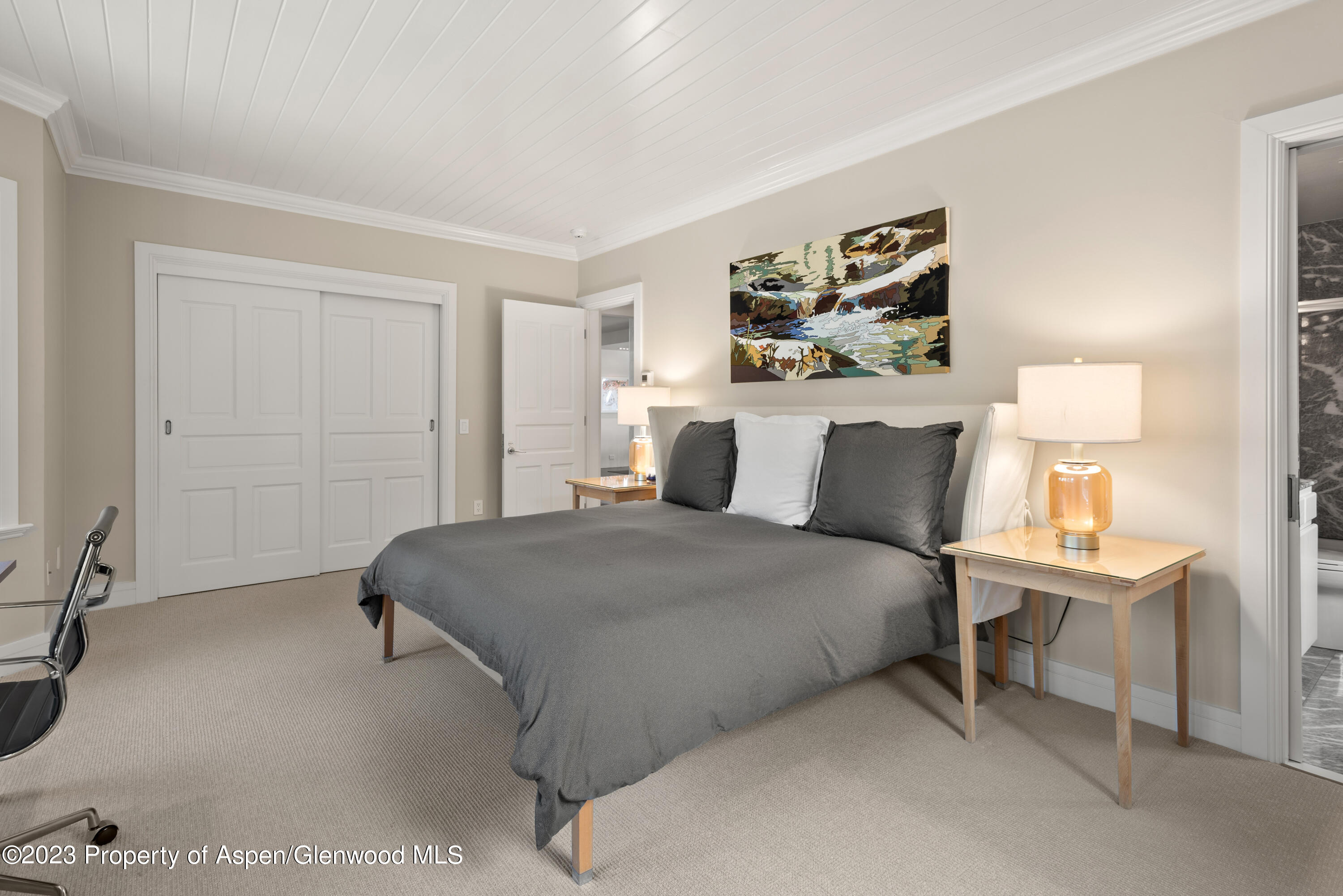 517 W North Street Property Photo 28