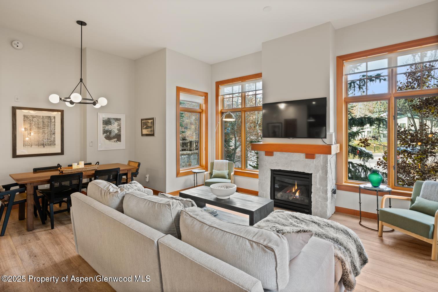 60 Carriage, 3029 Property Photo 17