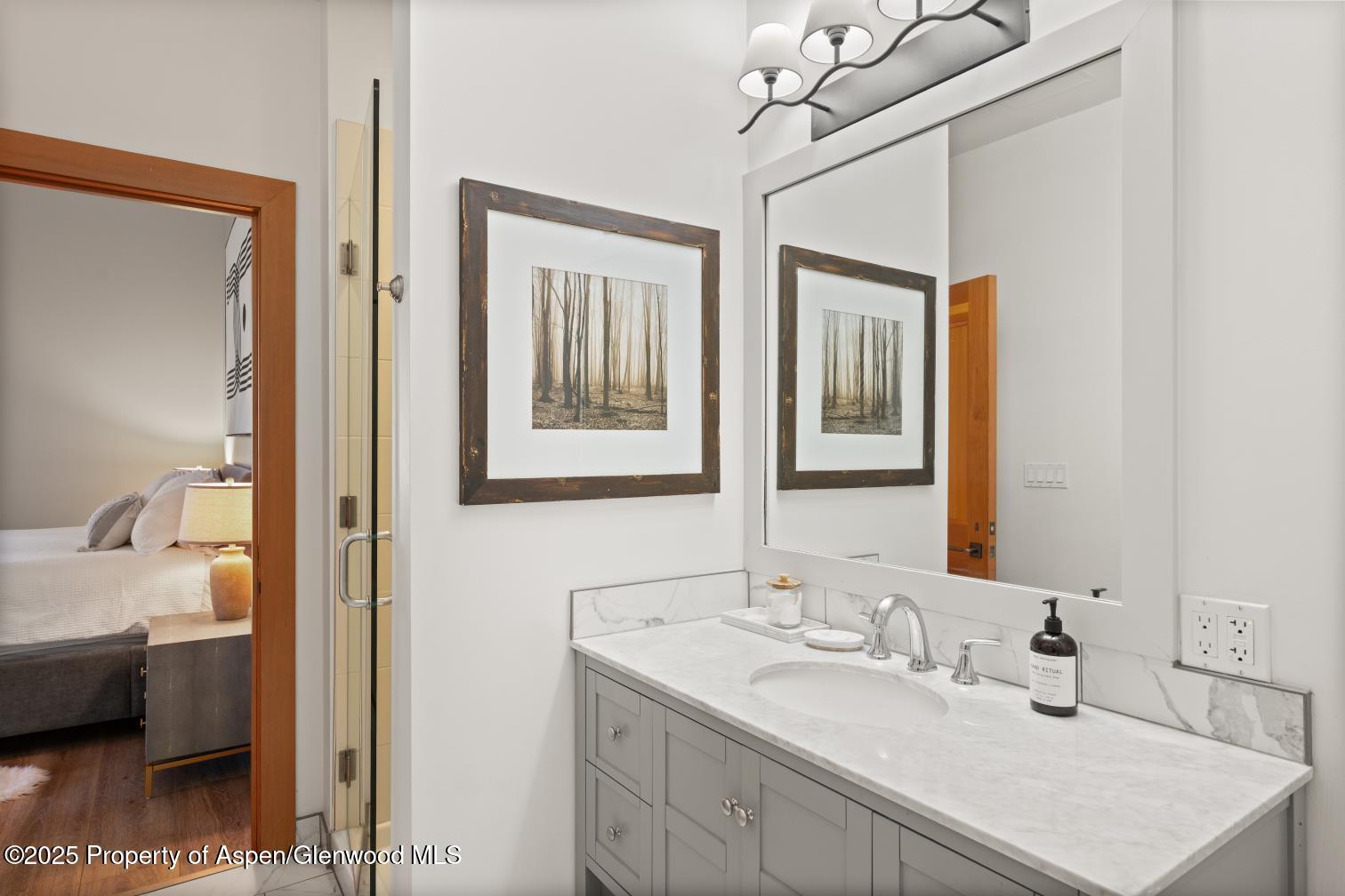 60 Carriage, 3029 Property Photo 25