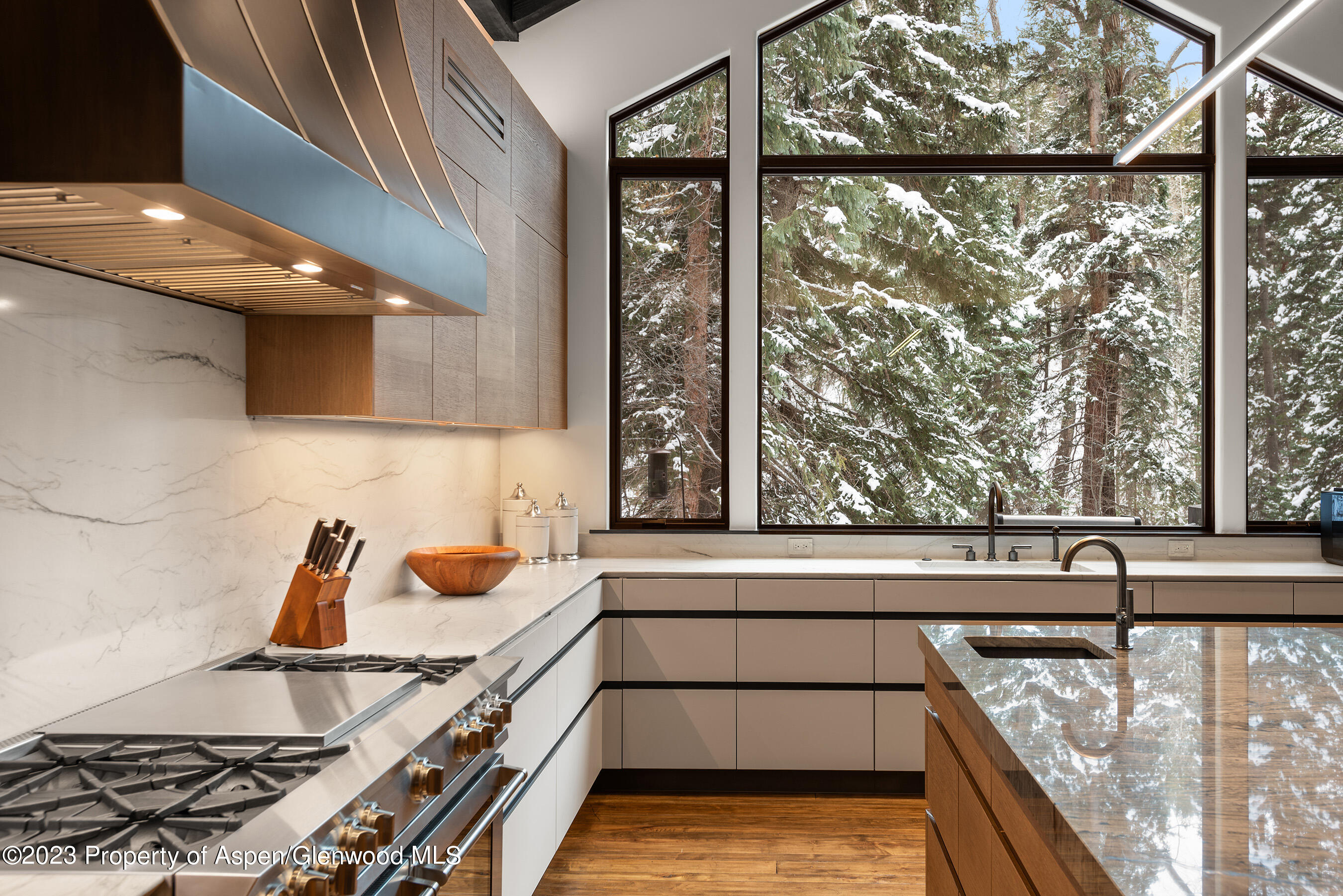 1819 Maroon Creek Road Property Photo 6