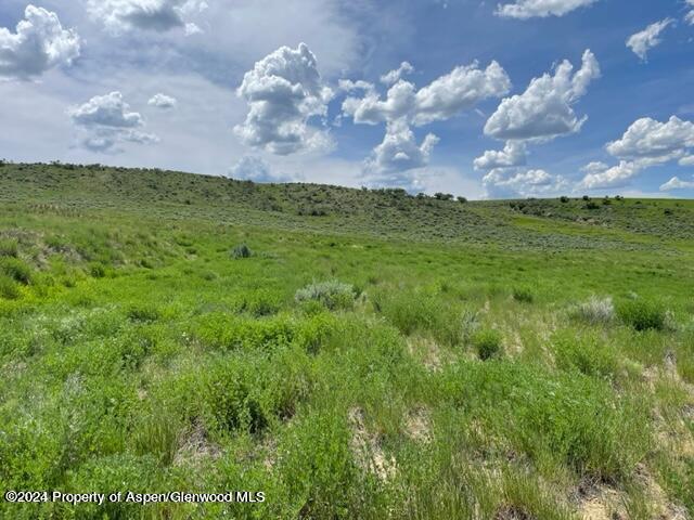 1160 Taylor Street Property Photo 4