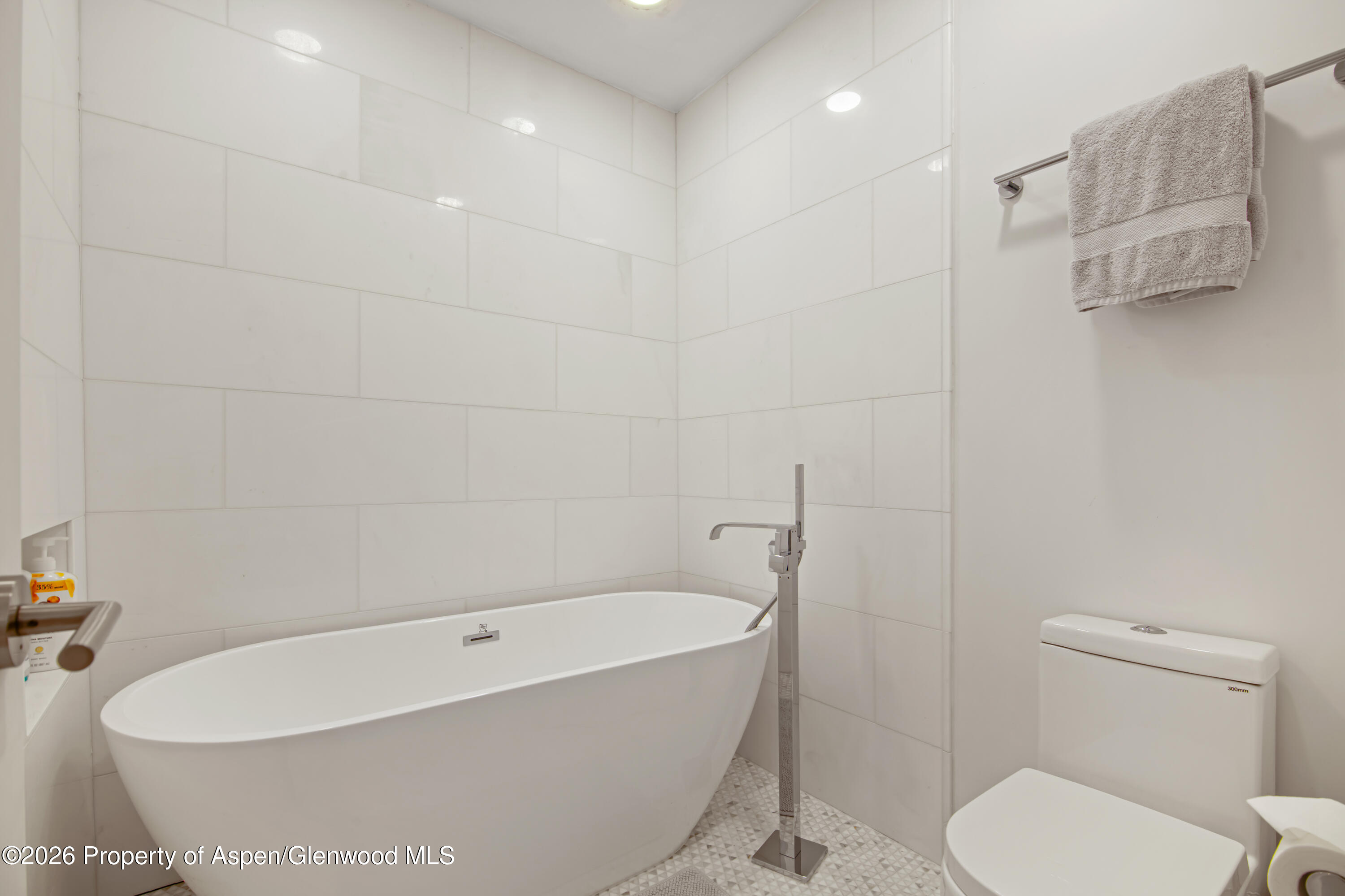 809 S Aspen Street #7 Property Photo 23
