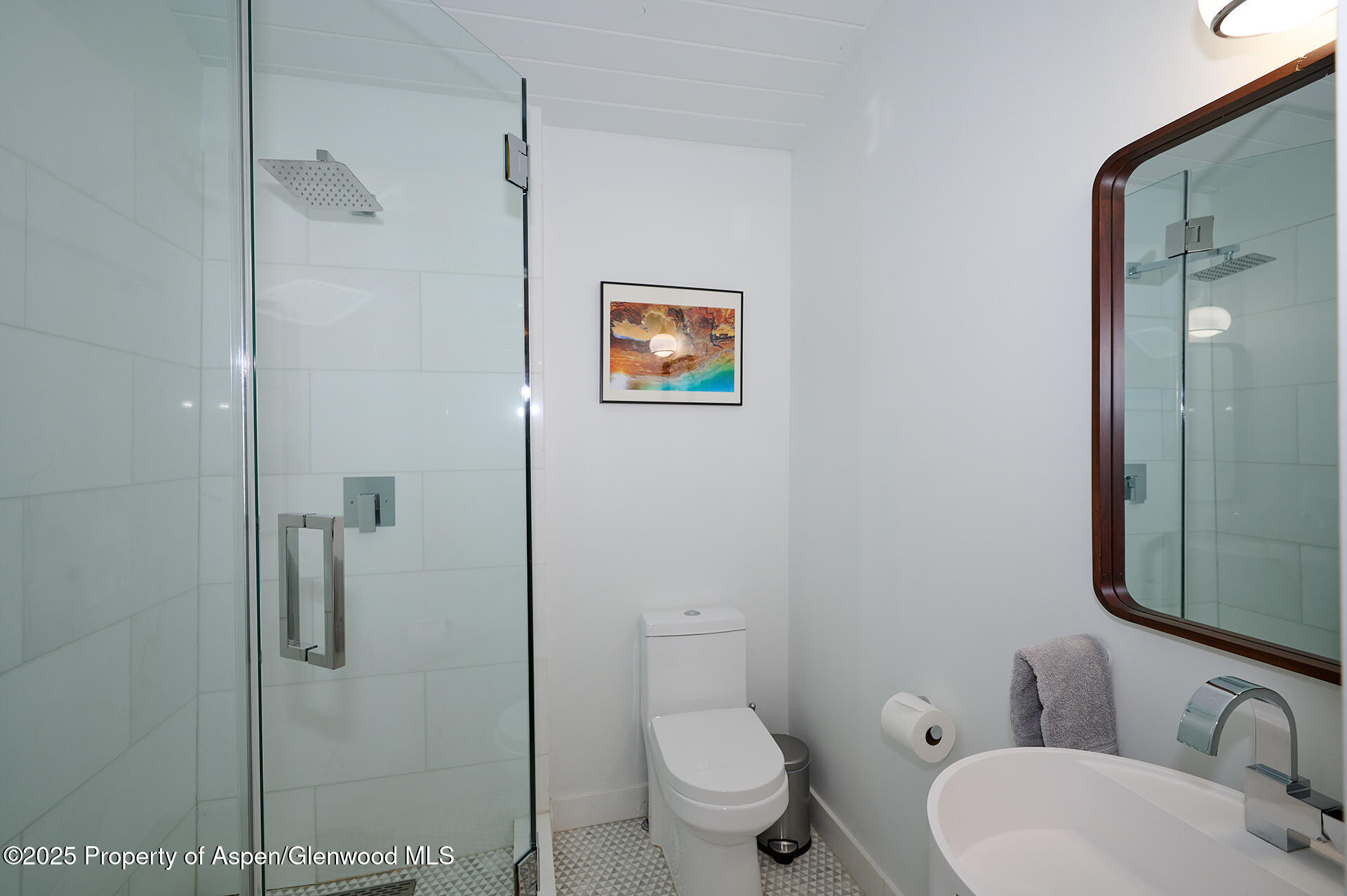 809 S Aspen Street #7 Property Photo 24
