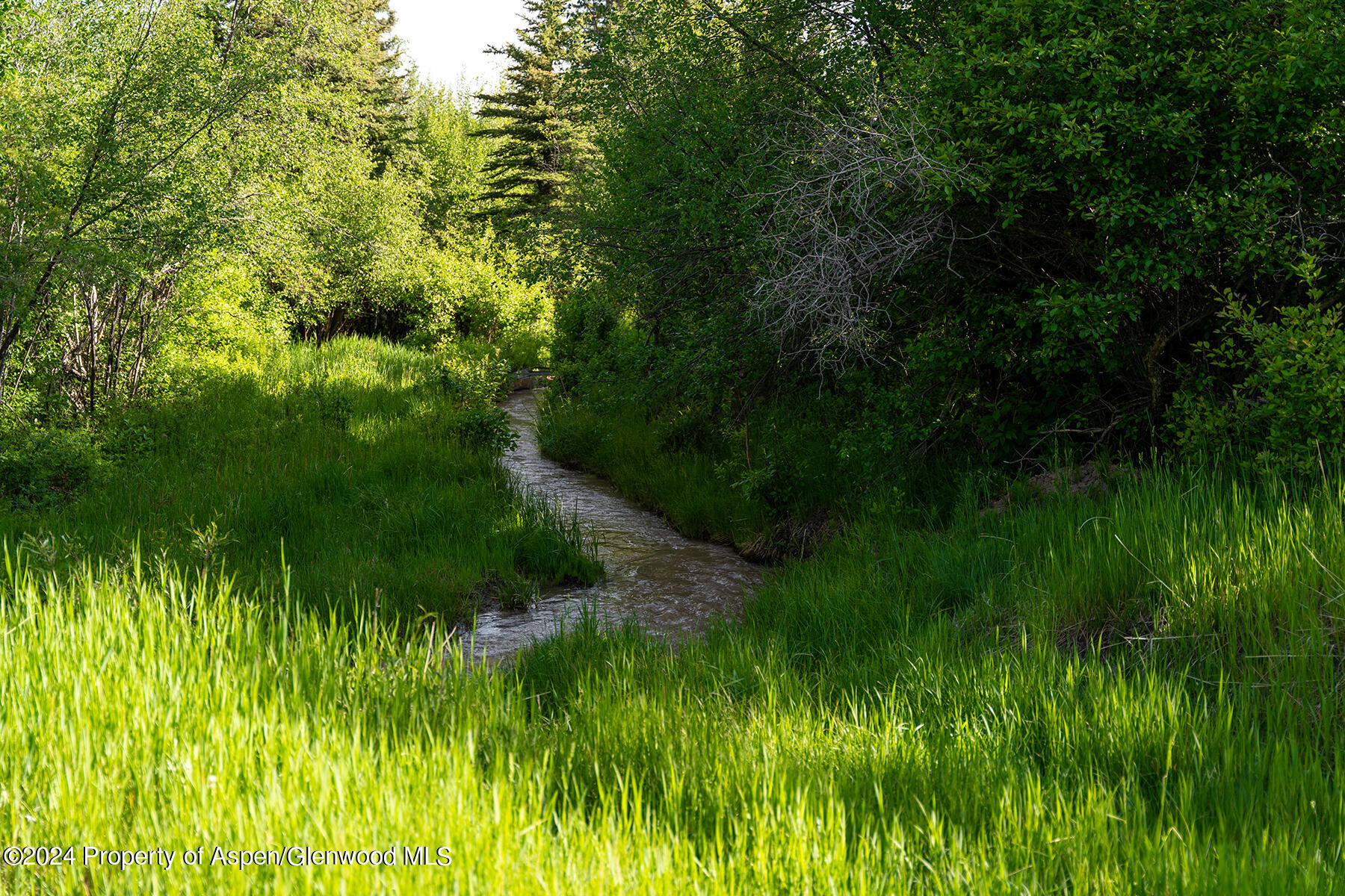 1012 Monastery Road Property Photo 45