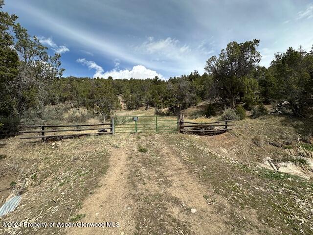Tbd Lot 4 266 Road Property Photo 1