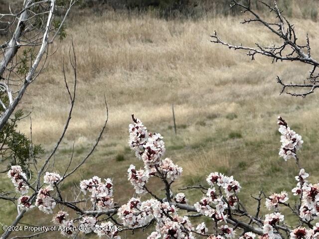 Tbd Lot 4 266 Road Property Photo 2