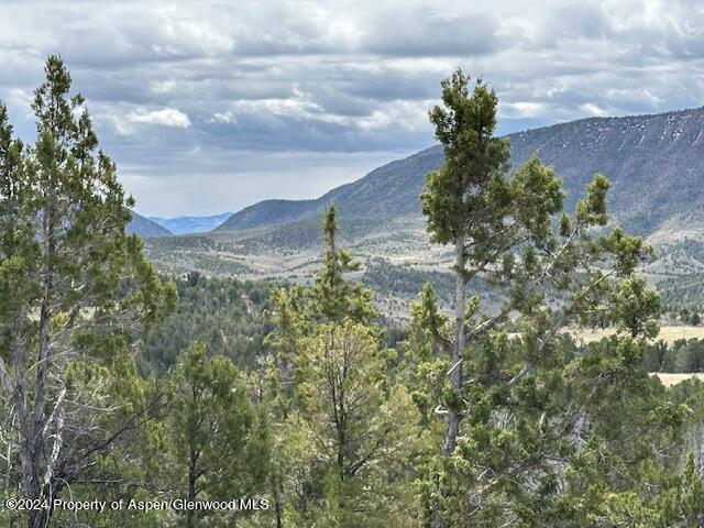 Tbd Lot 4 266 Road Property Photo 3