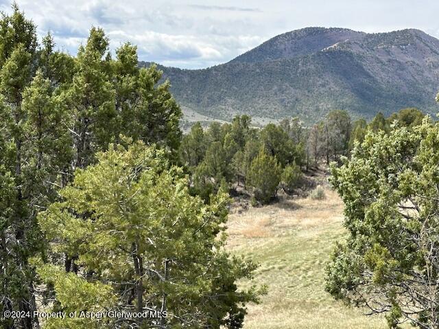 Tbd Lot 4 266 Road Property Photo 4