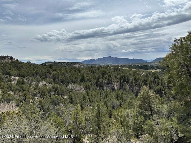 Tbd Lot 4 266 Road Property Photo 7