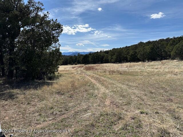 Tbd Lot 4 266 Road Property Photo 9