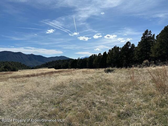 Tbd Lot 4 266 Road Property Photo 10
